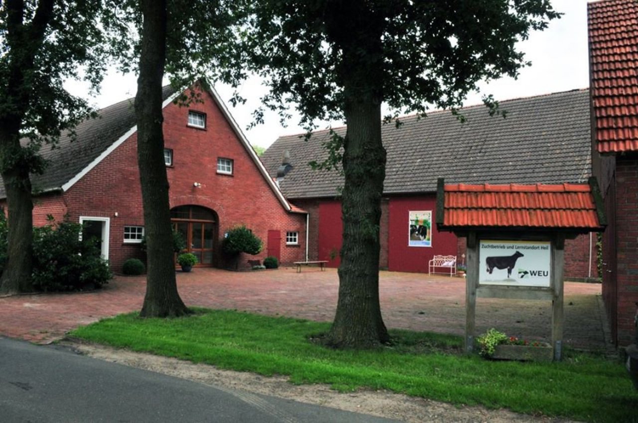 Sieben Lohner Bauernhöfe lassen hinter die Kulissen blicken